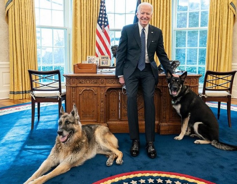 Preşedintele american Joe Biden i-a "expulzat" de la Casa Albă pe cei doi câini ai săi